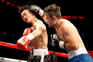 拳击迷麦考尔爆料视频,独家爆料视频曝光惊人真相  第1张